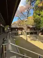 妙法寺(東京都)