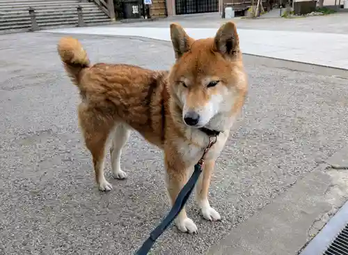 感通寺(東京都)