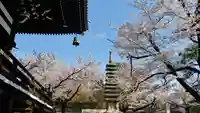 妙顯寺(妙顕寺)のその他建物