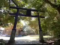 長浜神社の{uncategorized: "未分類", other: "その他", undefined: "問題あり", building: "その他建物", grave: "お墓", sacred_gate: "鳥居", guardian: "狛犬", statue: "像", buddha: "仏像", history: "歴史", nature: "自然", garden: "庭園", animal: "動物", pagoda: "塔", temizu: "手水舎", mountain_gate: "山門・神門", sanctuary: "本殿・本堂", subordinate: "末社・摂社", art: "芸術", scenery: "景色", jizo: "地蔵", ema: "絵馬", goshuin: "御朱印", omikuji: "おみくじ", items: "授与品その他", amulet: "お守り", goshuincho: "御朱印帳", eats: "食事", festival: "お祭り", votive_dance: "神楽", shichigosan: "七五三参", wedding: "結婚式", experience: "体験その他", initially: "初詣", around: "周辺", anti_infection: "感染症対策"}