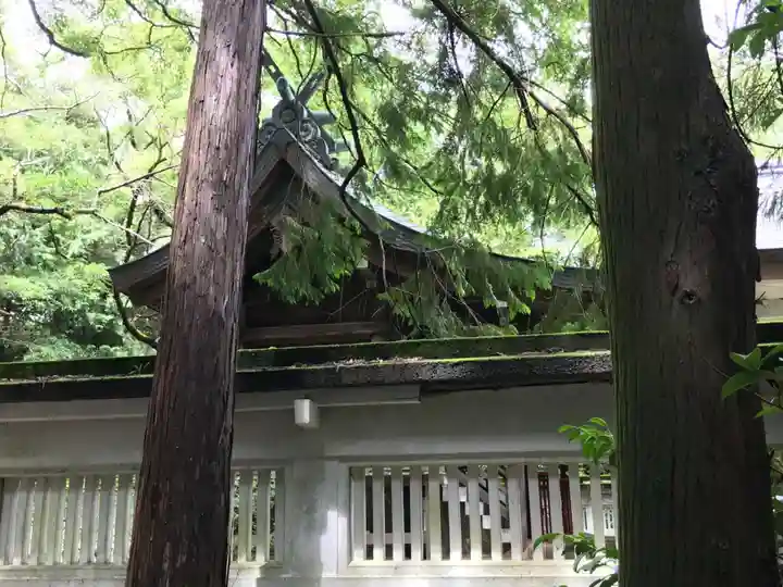 忌部神社の本殿・本堂