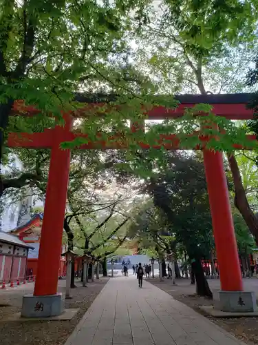 花園神社の鳥居