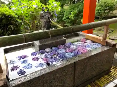 熊野那智大社(和歌山県)