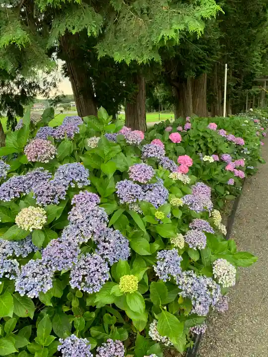 磯山神社の自然