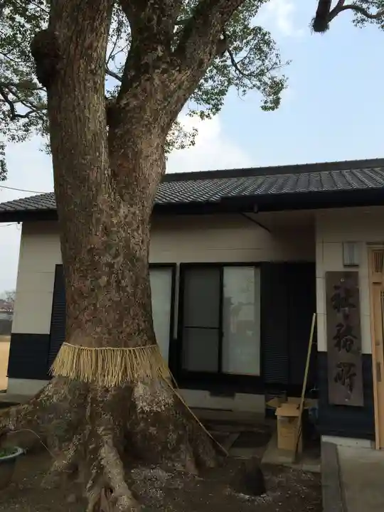 春日神社(福岡県)