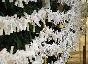 三津厳島神社(愛媛県)(2023年03月01日(水) 17時14分13秒投稿)