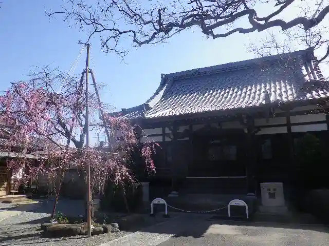 本興寺の本殿・本堂