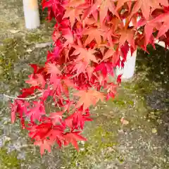 等持院(京都府)