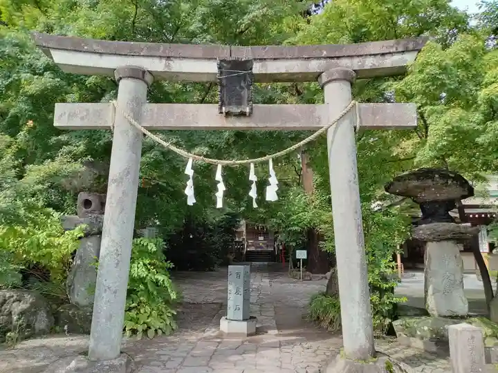 渋川八幡宮(群馬県)