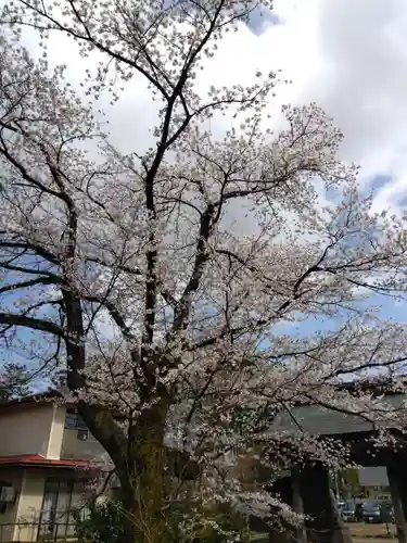 来迎寺(新潟県)