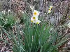 宗像神社の自然