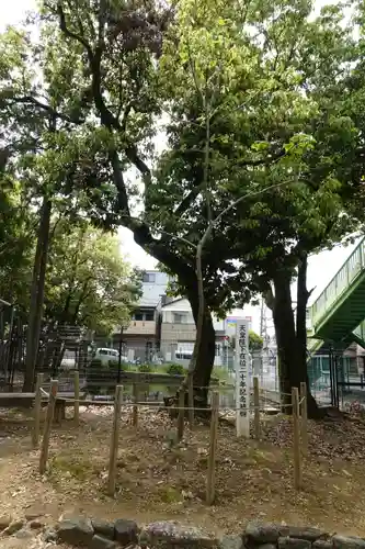 神明神社（神明皇大神宮）の自然