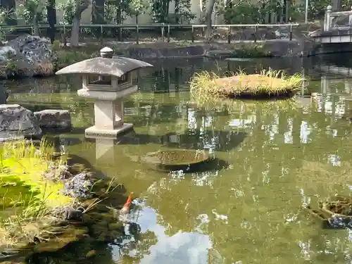 西新井大師総持寺(東京都)