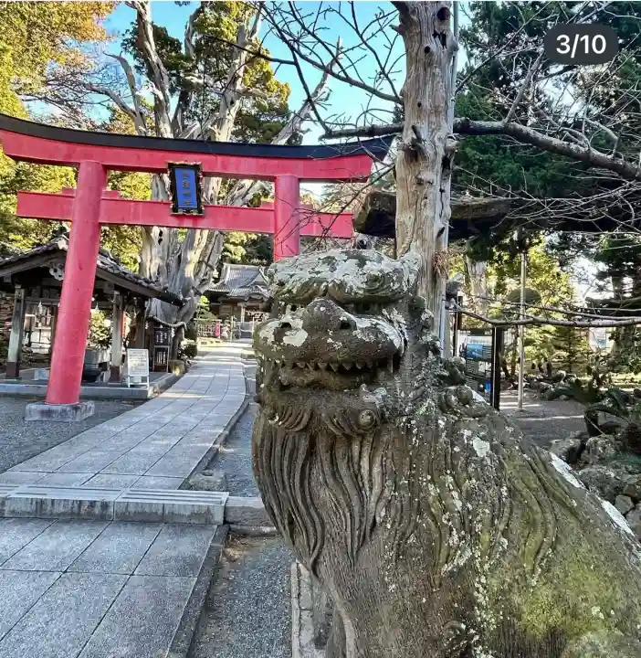 伊古奈比咩命神社の狛犬