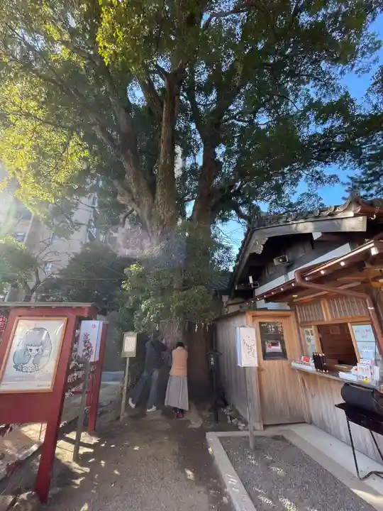 菅生神社(愛知県)
