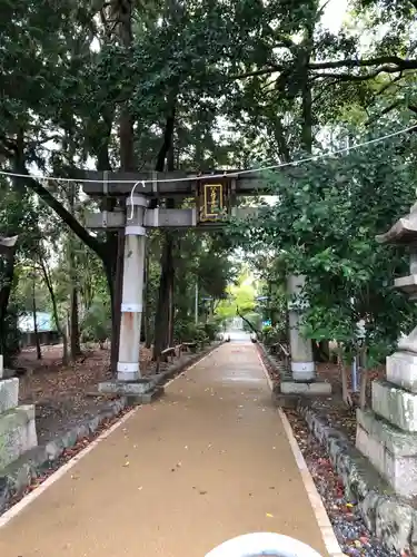 天穂日命神社の鳥居