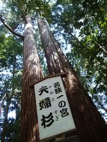 若狭彦神社（上社）の自然