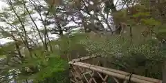 出雲大神宮の庭園