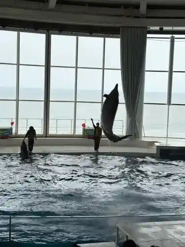 大洗磯前神社(茨城県)