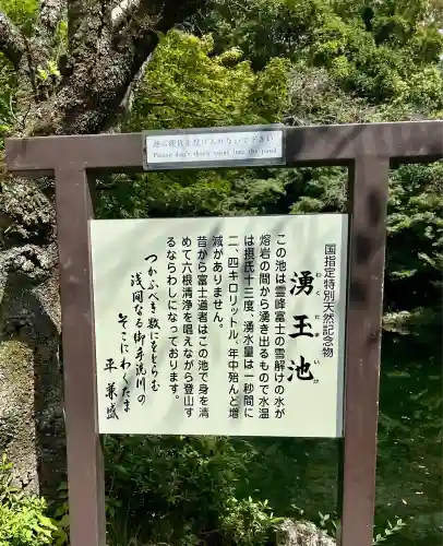 富士山本宮浅間大社(静岡県)