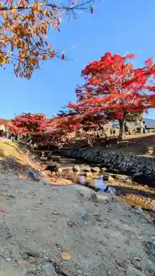 夫婦大國社(春日大社末社)(奈良県)