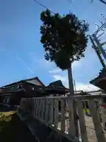 八幡神社(滋賀県)