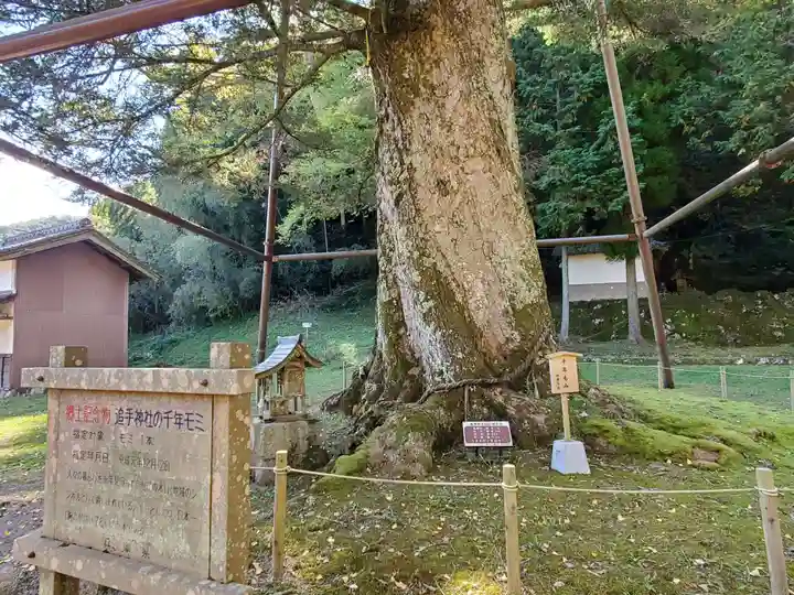 追手神社の自然