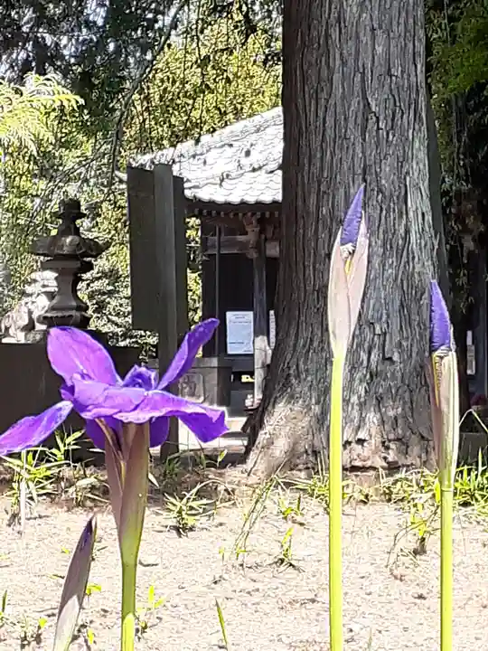 伏木香取神社(茨城県)