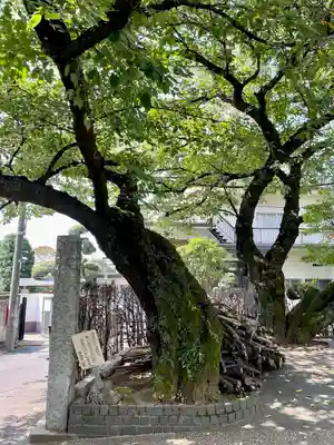 静勝寺(東京都)