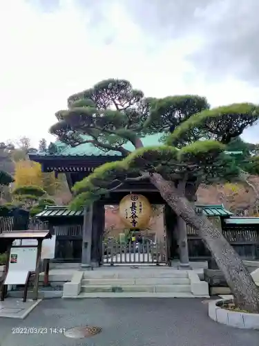長谷寺の山門・神門