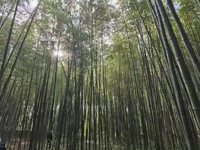 野宮神社(京都府)