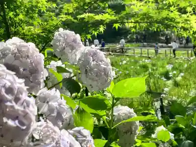 本土寺(千葉県)