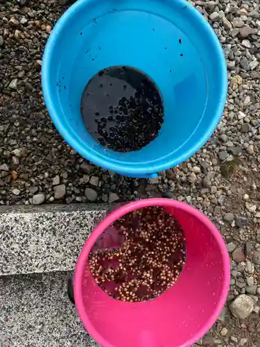 手力雄神社(岐阜県)