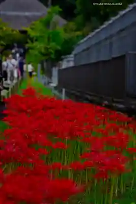 横浜　西方寺(神奈川県)