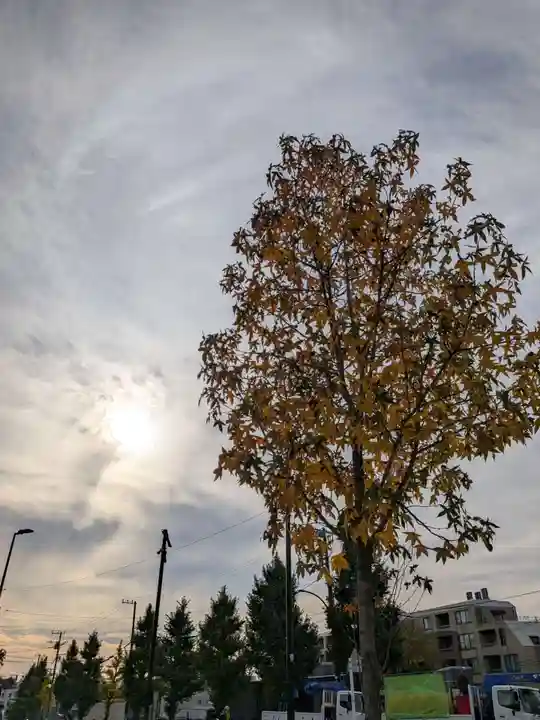 明治神宮(東京都)