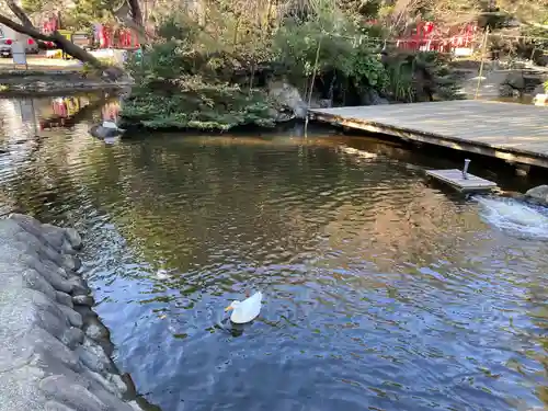 平塚八幡宮(神奈川県)