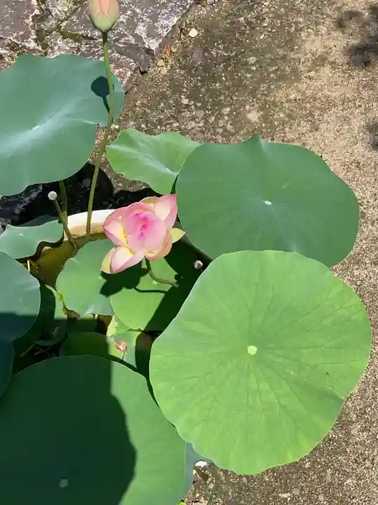 大仙寺(岐阜県)