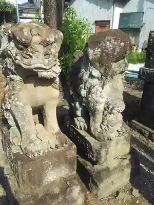 佐谷田神社の狛犬