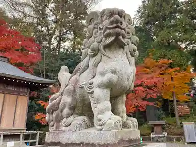 中氷川神社(埼玉県)