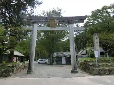 闘鶏神社の鳥居