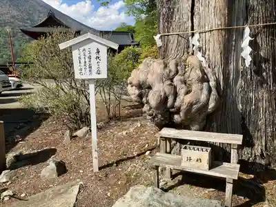 中禅寺(栃木県)