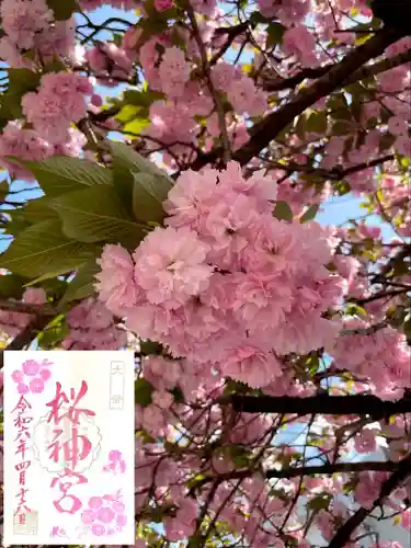 桜神宮(東京都)