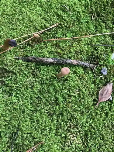 若宮神明社の自然