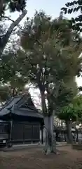 天祖神社の建物その他