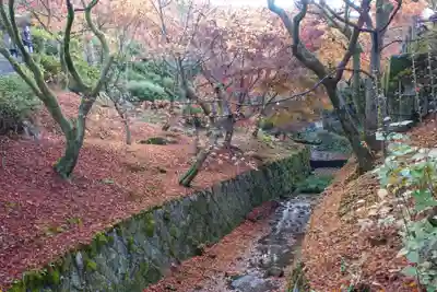 東福禅寺(東福寺)(京都府)