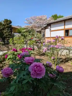 禅定院(東京都)