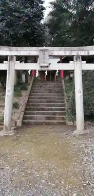 羽黒神社の鳥居