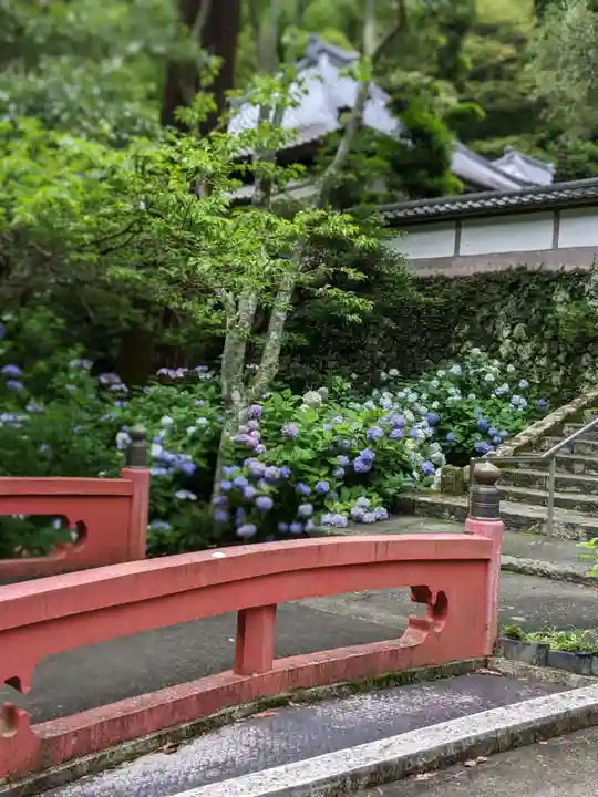 林叟院(静岡県)