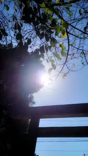 秋葉神社の鳥居