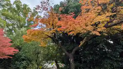 水無瀬神宮(大阪府)